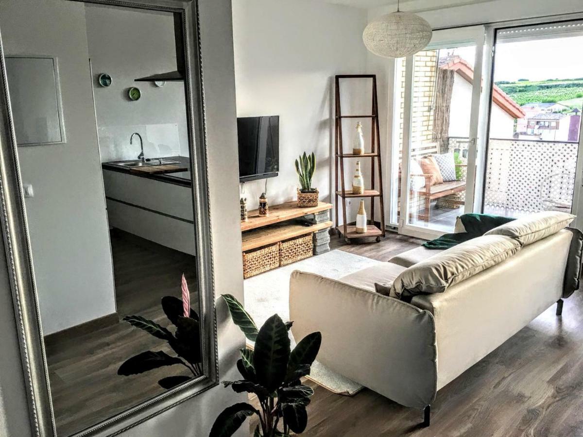 Apartamento Gaztainondoak Lanciego Dış mekan fotoğraf